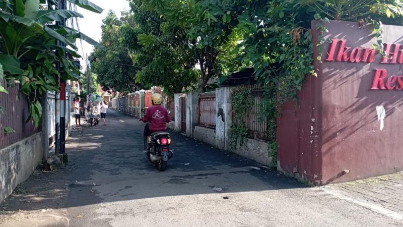 Ikan Hias Residence (12)