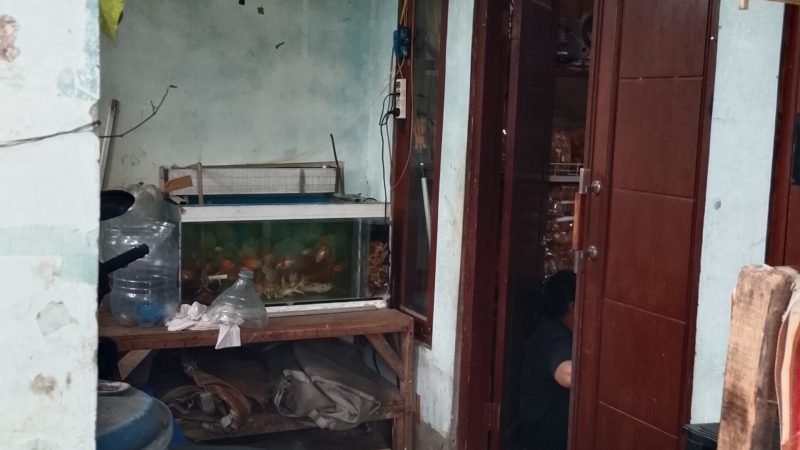 filter: 0; fileterIntensity: 0.0; filterMask: 0; hdrForward: 0; brp_mask:0;
brp_del_th:null;
brp_del_sen:null;
delta:null;
module: photo;hw-remosaic: false;touch: (-1.0, -1.0);sceneMode: 2;cct_value: 0;AI_Scene: (-1, -1);aec_lux: 0.0;aec_lux_index: 0;HdrStatus: auto;albedo:  ;confidence:  ;motionLevel: -1;weatherinfo: null;temperature: 33;