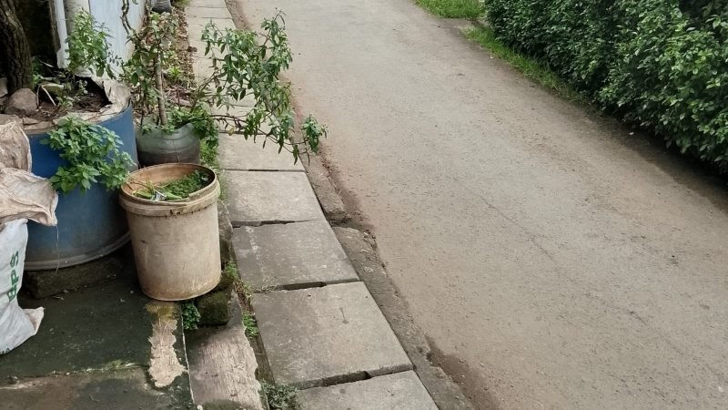 filter: 0; fileterIntensity: 0.0; filterMask: 0; hdrForward: 0; brp_mask:0;
brp_del_th:null;
brp_del_sen:null;
delta:null;
module: photo;hw-remosaic: false;touch: (-1.0, -1.0);sceneMode: 2;cct_value: 0;AI_Scene: (-1, -1);aec_lux: 0.0;aec_lux_index: 0;HdrStatus: auto;albedo:  ;confidence:  ;motionLevel: -1;weatherinfo: null;temperature: 35;
