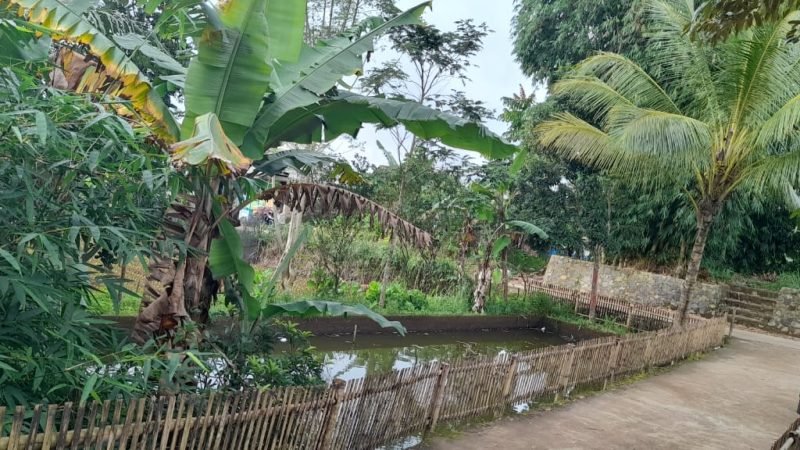 Rumah Gazebo Sukalarang Sukabumi (7)