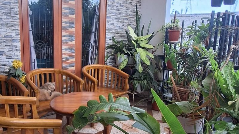 Rumah Toko dan Kos Tangerang Selatan (11)