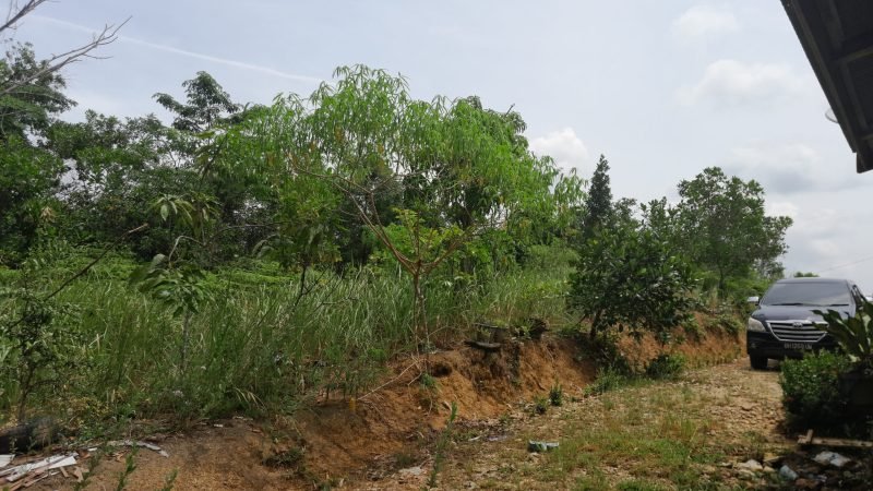 Tanah Pasir Putih Bungo Jambi (2)