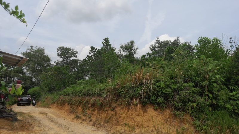 Tanah Pasir Putih Bungo Jambi (5)