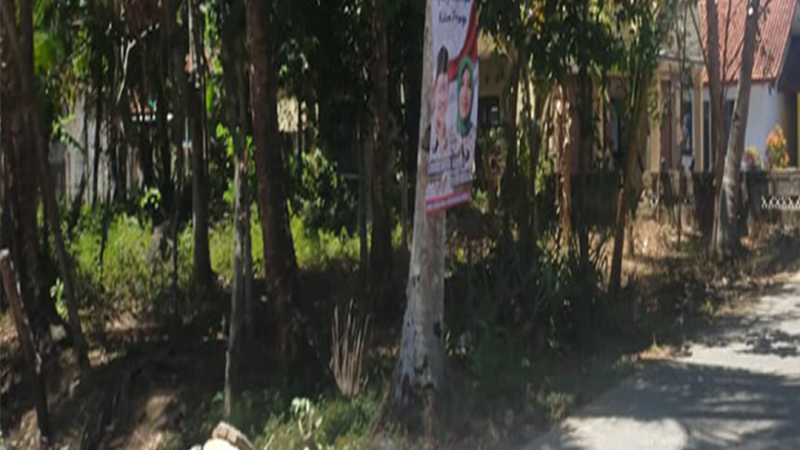 Tanah Temon Wetan Yogyakarta (1)