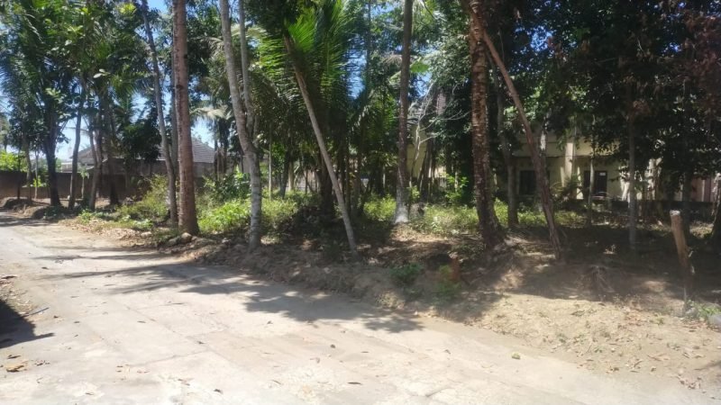 Tanah Temon Wetan Yogyakarta (3)