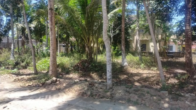 Tanah Temon Wetan Yogyakarta (8)