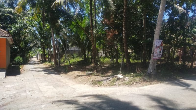 Tanah Temon Wetan Yogyakarta (9)