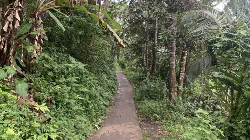 Tanah Wisata Bedeng Padarincang Serang (2)