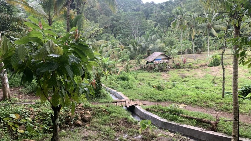 Tanah Wisata Bedeng Padarincang Serang (3)