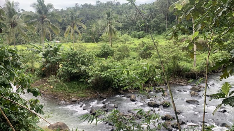Tanah Wisata Bedeng Padarincang Serang (6)